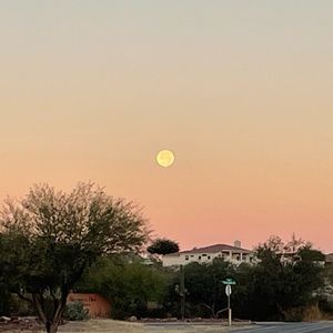 Meet your Posher, Lexy